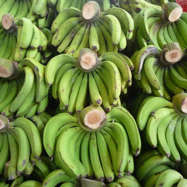 Fresh Cavendish Banana From Vietnam