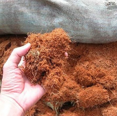 COCO PEAT FOR PLANTIN