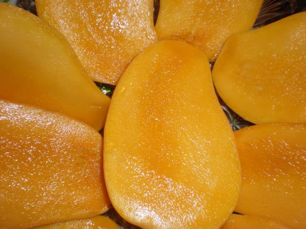 BEST PRICE FOR SWEET MANGO -DRIED FRUIT IN VIETNAM