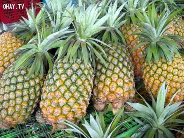 VIETNAM FRESH PINEAPPLE CHEAP PRICE