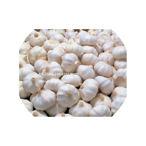 Bulk Supplier Natural Garlic from Viet Nam
