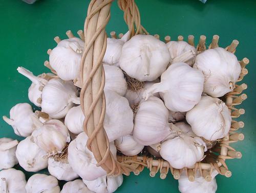 Bulk Supplier Natural Garlic From Viet
