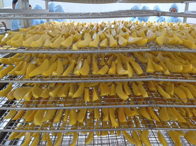 Dehydrated Soft Mango Premium Quality From