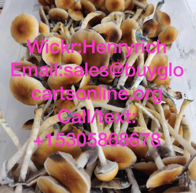 Mushrooms