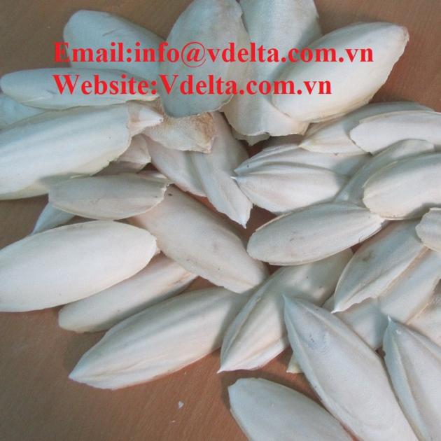 CUTTLEFISH BONE CHEAP PRICE HIGH QUALITY