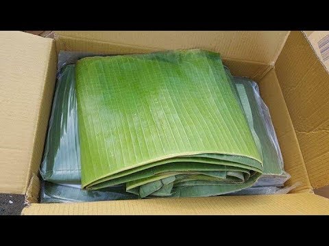 FRESH BANANA LEAF