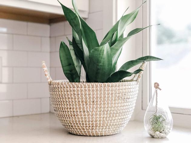 Wholesale Vietnam Handmade Seagrass Straw Basket