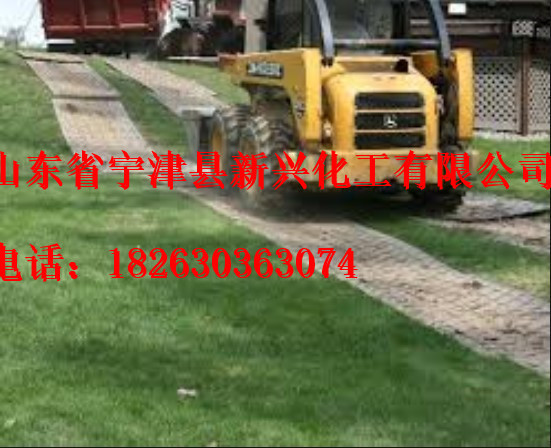 HDPE Event Mats Grass Protection Mats