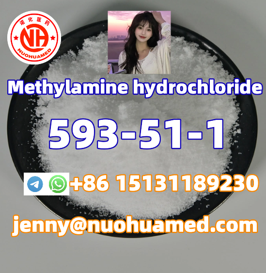 Methylamine hydrochloride      593-51-1 