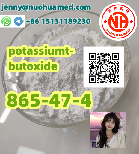 potassiumt-butoxide   865-47-4