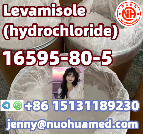 Levamisole (hydrochloride)      16595-80-5
