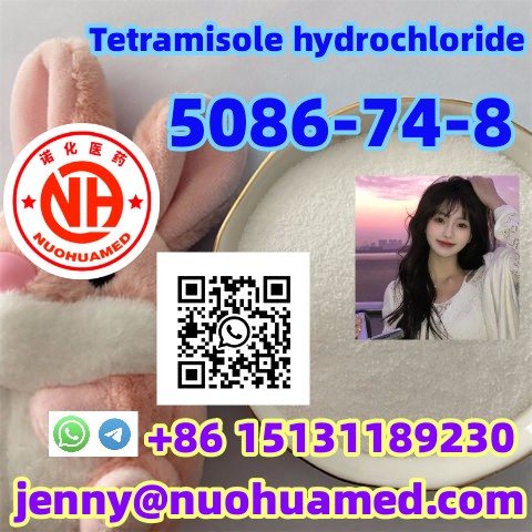 Tetramisole hydrochloride      5086-74-8 