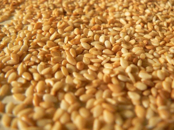 SESAME SEEDS