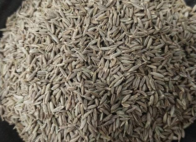 Cumin Seed