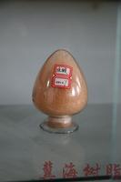 ion exchange resin