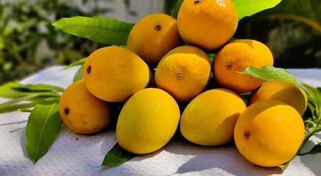 MANGO 