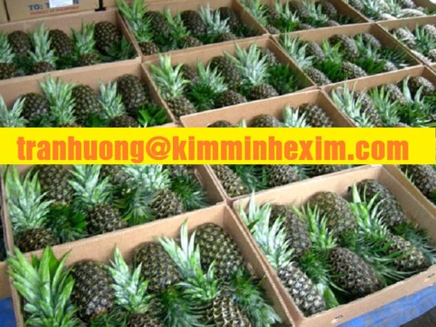 FRESH PINEAPPLE FRUIT PINEAPPLE FRUIT