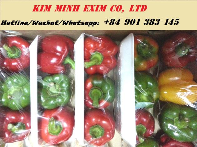 FRESH CAPSICUM/ FRESH BELL PEPPER/FRESH SWEET CHILI