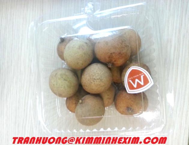 FRESH LONGAN FRUIT VIETNAM LONGAN FRUIT