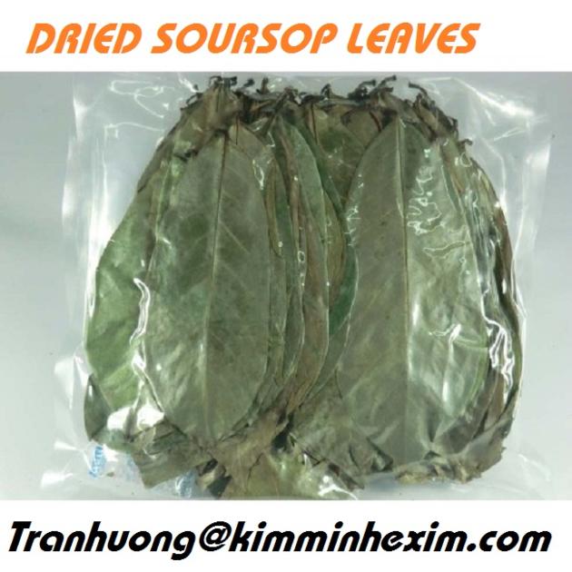 DRIED SOURSOP LEAVES EXTRACT SOURSOP LEAF