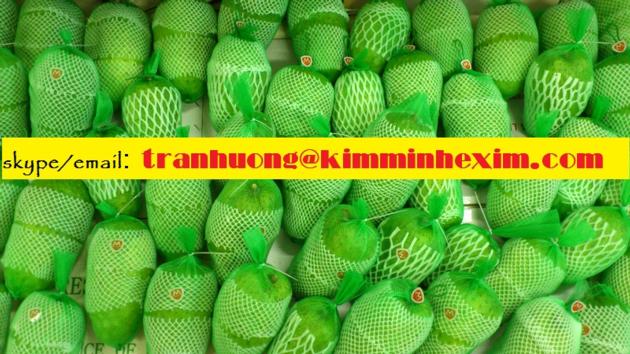 FRESH SOURSOP FRUIT GRAVIOLA FRUIT