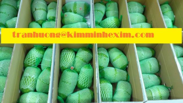 FRESH SOURSOP FRUIT GRAVIOLA FRUIT
