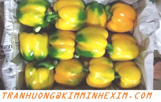 FRESH CAPSICUM FRESH BELL PEPPER FRESH
