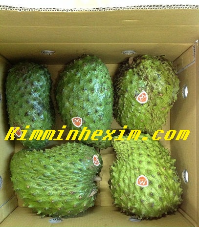 FRESH SOURSOP FRUIT/GRAVIOLA FRUIT