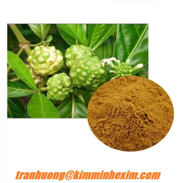 NONI POWDER/ DRIED NONI POWDER/DRIED NONI FRUIT