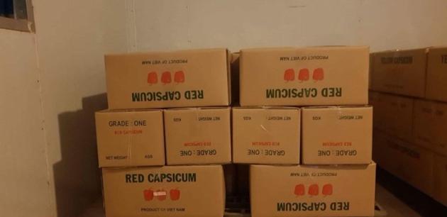 FRESH CAPSICUM FRESH BELL PEPPER FRESH
