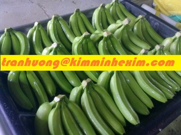 FRESH CAVENDISH BANANA CAVENDISH BANANA FRUIT