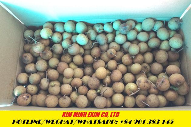 FRESH LONGAN FRUIT VIETNAM LONGAN FRUIT