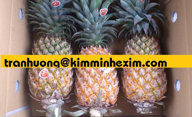 FRESH PINEAPPLE FRUIT PINEAPPLE FRUIT