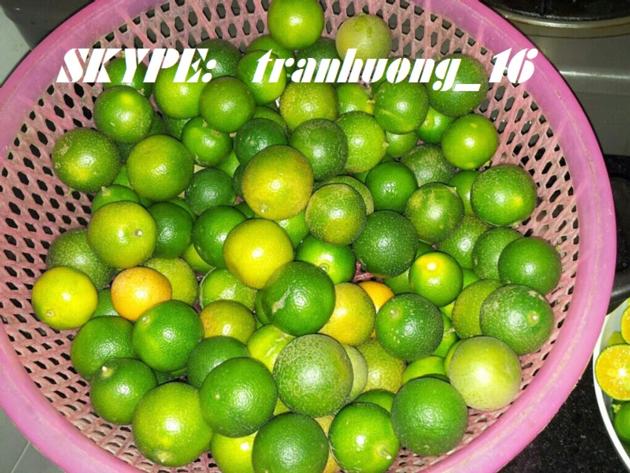 FRESH CALAMANSI FRUIT CALAMANSI FRUIT KUMQUAT