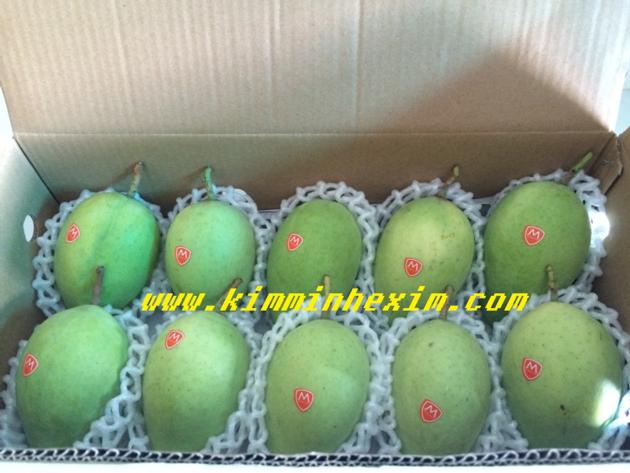 FRESH MANGO FRUIT MANGO FRUIT