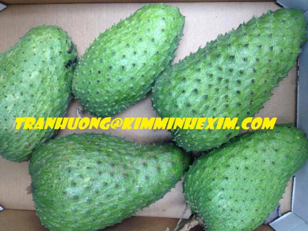 FRESH SOURSOP FRUIT GRAVIOLA FRUIT