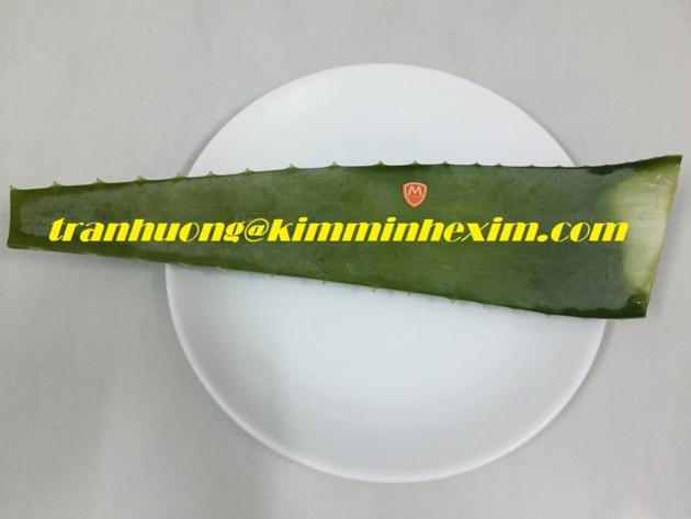 FROZEN ALOE VERA PULP DICE CHUNK