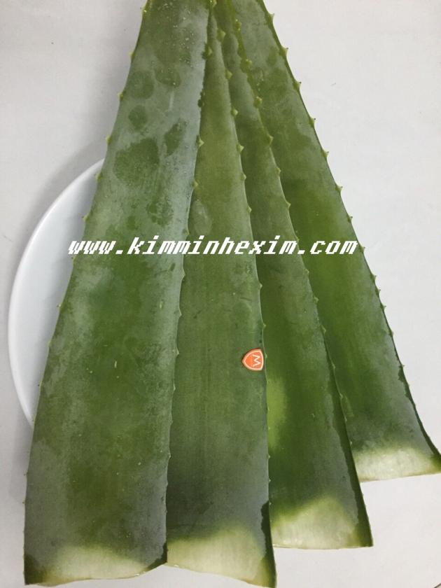 FROZEN ALOE VERA PULP DICE CHUNK