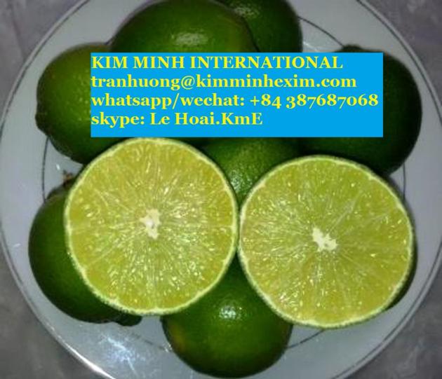 FRESH  LEMON +84 387687068(WHATSAPP/ZALO)