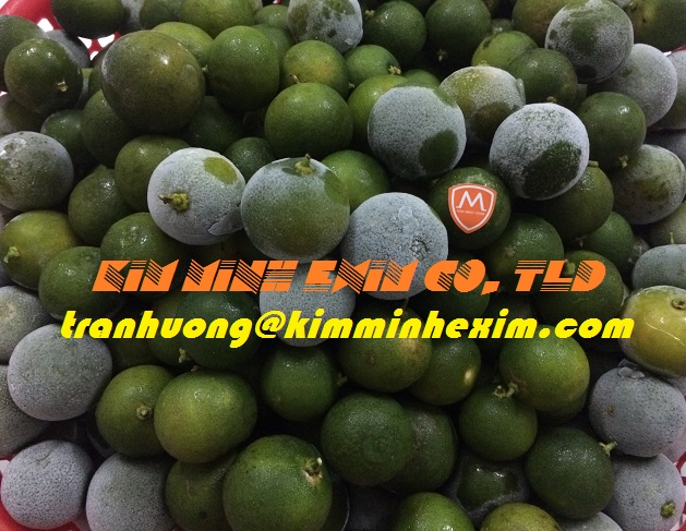 FROZEN CALAMANSI FRUIT WHOLE HALF CUT