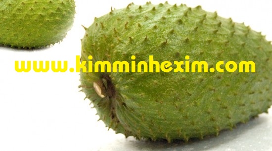 SOURSOP PUREE FROZEN SOURSOP FRUIT GRAVIOLA