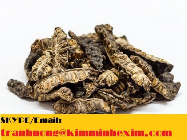 DRIED NONI FRUIT DRIED NONI POWDER