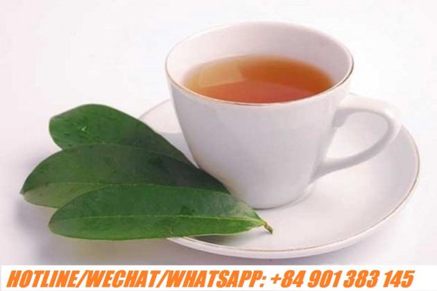 SOUR SOUP LEAF TEA BAG SOURSOP