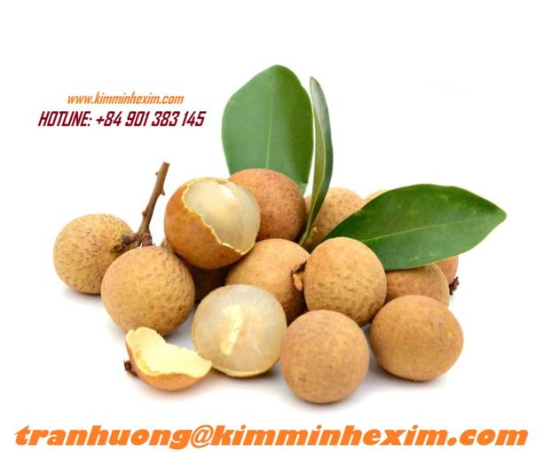 FRESH LONGAN FRUIT/ VIETNAM LONGAN FRUIT