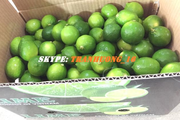 FRESH SEEDLESS LIME PERSIAN LIME GREEN