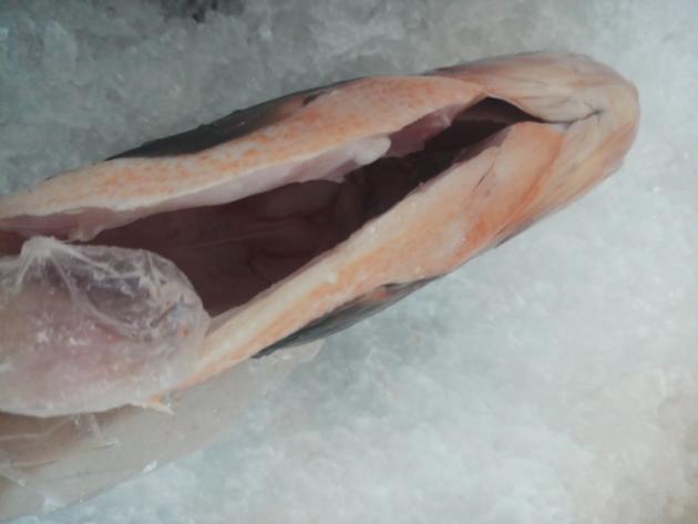 Frozen Red Pomfret Pacu Gutted And