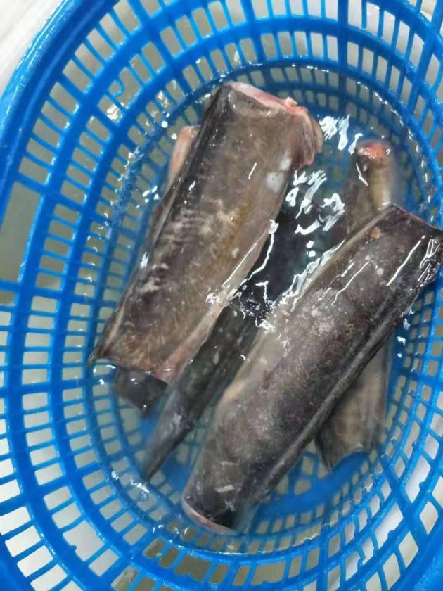 Frozen Catfish HGT From China