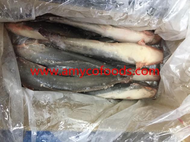 Frozen Catfish WR Origin China
