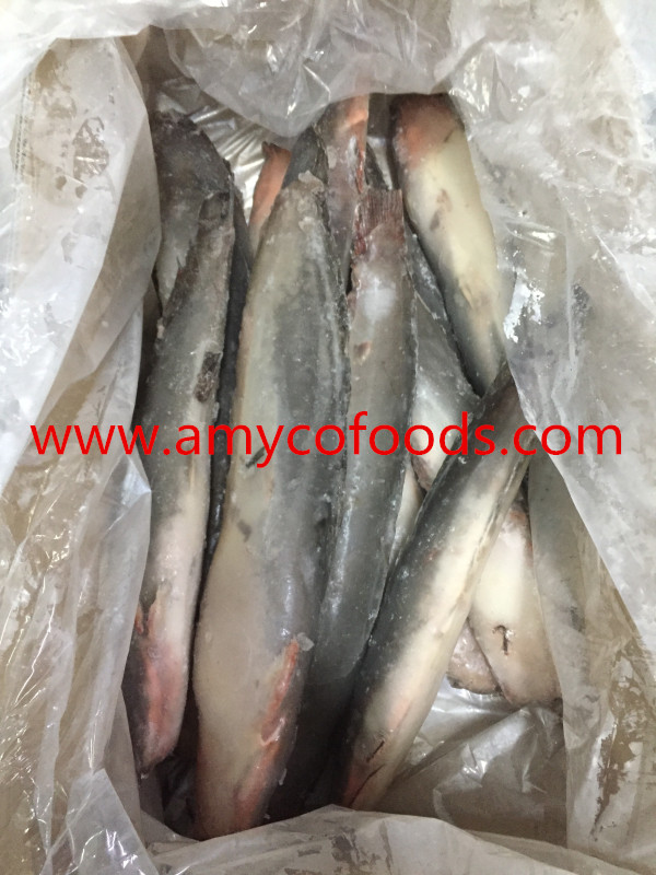 Frozen Catfish WR Origin China