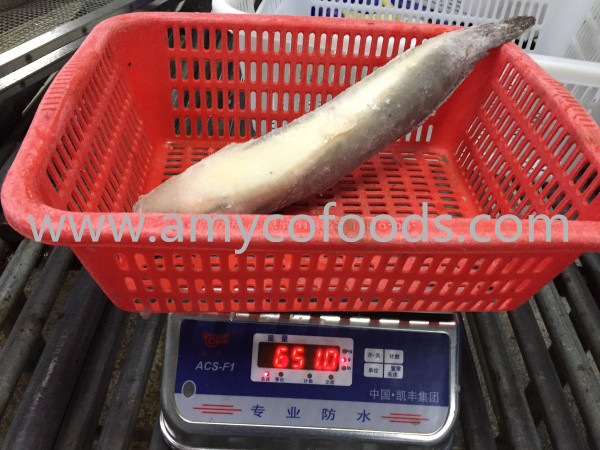 Frozen Catfish WR Origin China